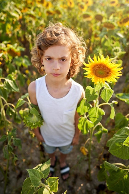 Corpo intero di bambino preadolescente arrabbiato in camicia bianca accigliato e guardando la fotocamera mentre si trova tra i fiori che sbocciano in campagna in una luminosa giornata estiva