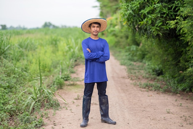 Corpo pieno di uomo asiatico contadino in piedi e mani incrociate guardando il cielo fattoria verde