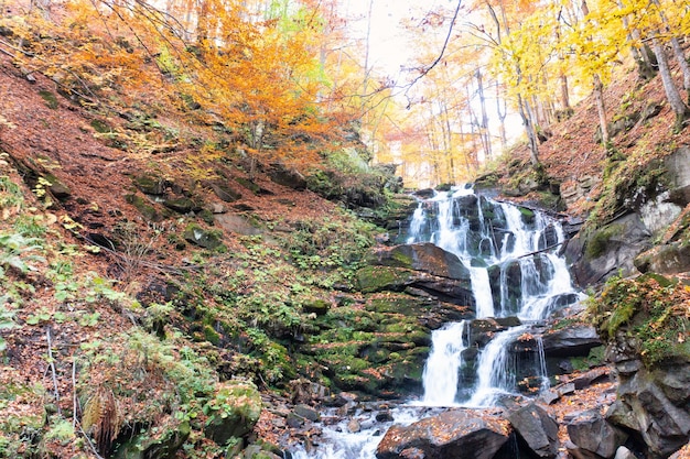 Corrente fredda che cade dalle rocce e dalle pietre del pendio della montagna attraverso la foresta di terracotta con gli alberi ingialliti e le foglie cadute in autunno