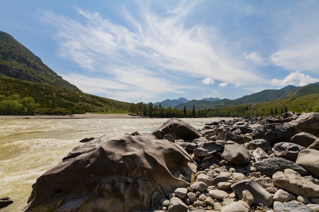 Corrente veloce del fiume Chuya nelle montagne Altai