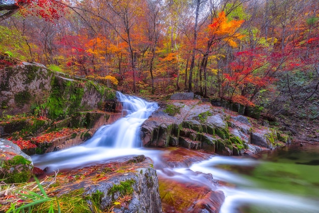 Correnti cascate di acqua che scorrono paesaggio autunnale