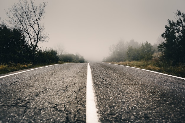 Corsia piena sulla strada, strada nella nebbia