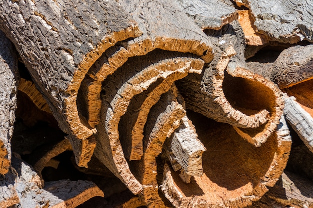 Corteccia di quercia di sughero pronta per la lavorazione in Portogallo