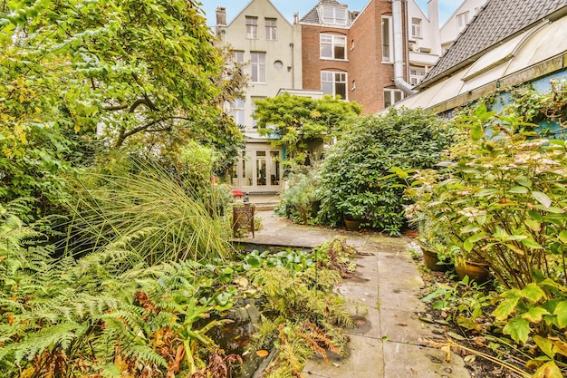 Cortile accogliente di una casa con alberi verdi