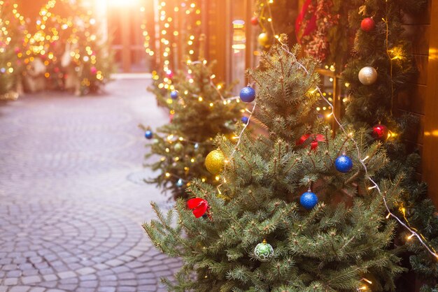 Cortile con alberi di Capodanno e decorazioni natalizie su una porta