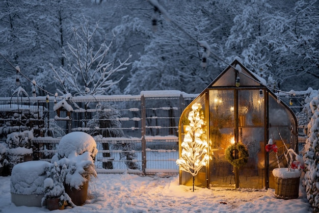 Cortile innevato con serra e graland albero incandescente