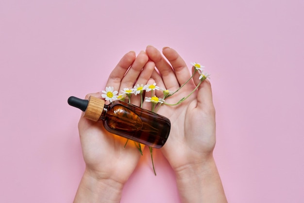 Cosmetici naturali a base di erbe medicinali con camomilla. Mani di donna, fiori e bottiglia di vetro con prodotto su sfondo rosa, vista dall'alto