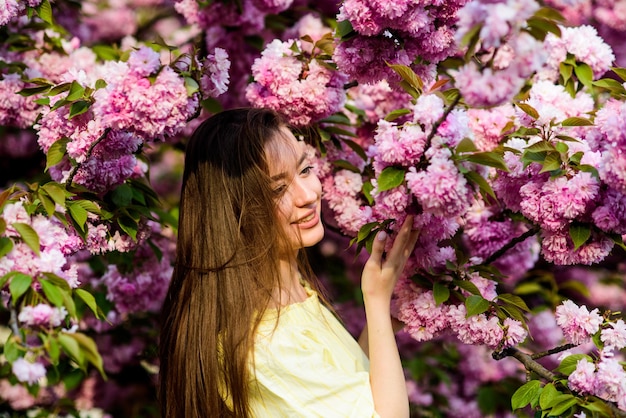 Cosmetici naturali per la pelle Paradiso floreale Negozio di fiori Ragazza in fiore di ciliegio in fiore albero di Sakura in fiore Morbido e tenero Splendido fiore e bellezza femminile Donna in fiore di primavera sbocciano