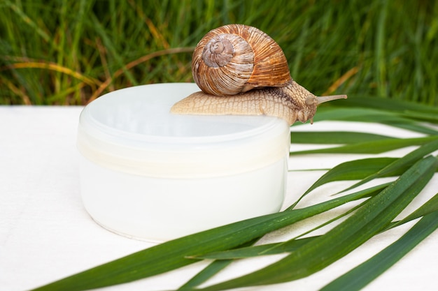 Cosmetici per la cura della pelle con mucina a base di lumache di uva.