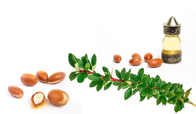 Cosmetico significa autentici flaconi orientali con olio cosmetico noci di argan e foglie verdi di argania