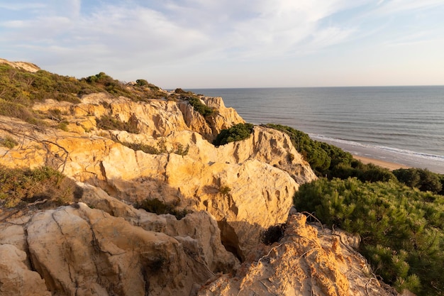 Costa con scogliere, dune, pini, vegetazione verdeggiante. Concetto delle migliori spiagge.