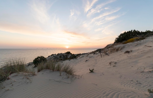 Costa con scogliere, dune, pini, vegetazione verdeggiante. Concetto delle migliori spiagge.