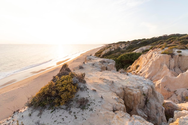 Costa con scogliere dune pini vegetazione verdeLa spiaggia più bella della Spagna