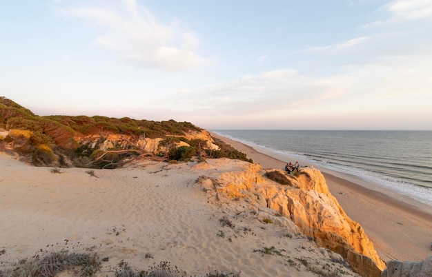 Costa con scogliere dune pini vegetazione verdeLa spiaggia più bella della Spagna