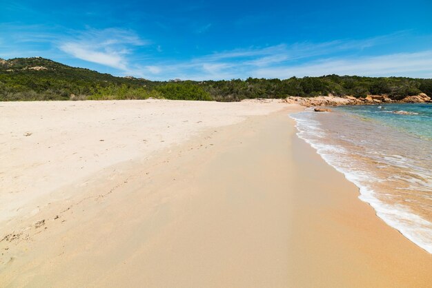 Costa d'oro nella spiaggia di Liscia Ruja Sardegna