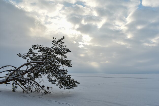 Costa del fiume Volga in inverno