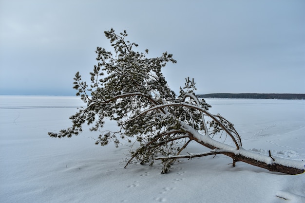 Costa del fiume Volga in inverno