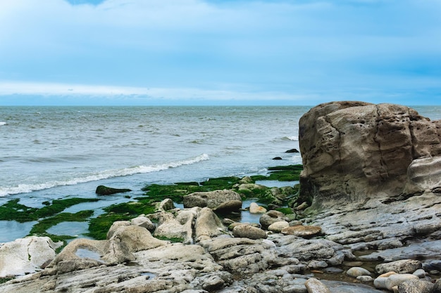 Costa del Mar Caspio con rocce costiere e pietre ricoperte di alghe