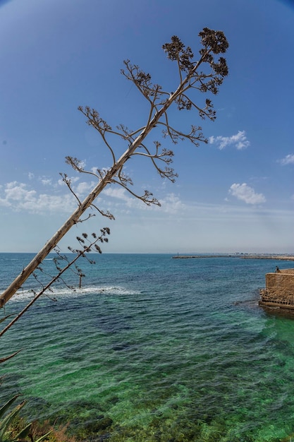 Costa del Mar Mediterraneo