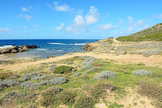 Costa dell'Argentiera in una giornata limpida