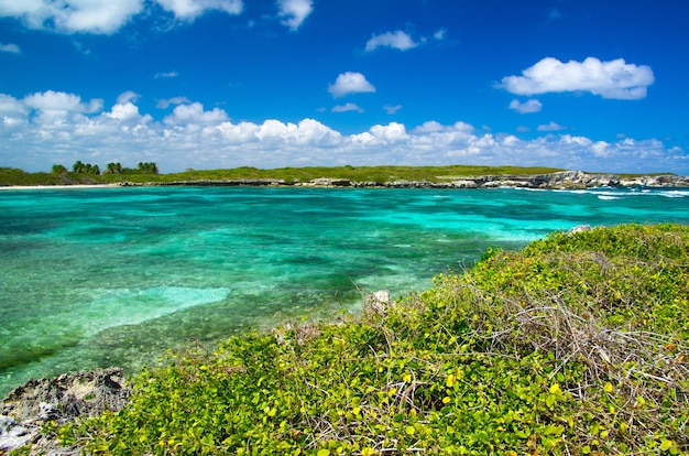 Costa dell'Oceano Atlantico. Repubblica Dominicana