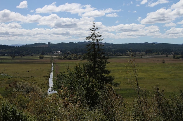 Costa dell'Oregon