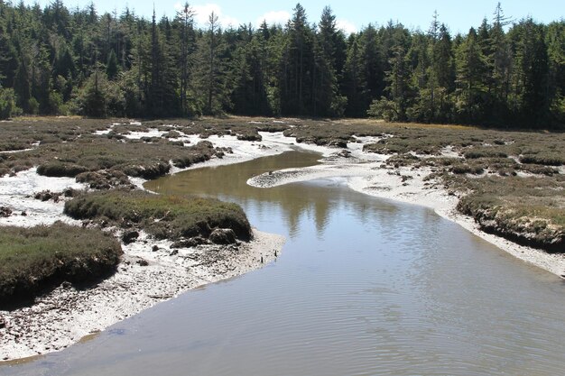 Costa dell'Oregon