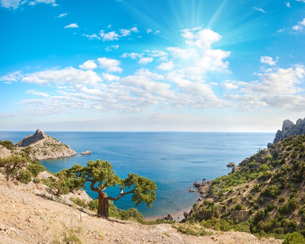 Costa della riserva "Novyj Svit" (Crimea, Ucraina, "Capchik Cape" ). Un'immagine del punto di quattro colpi.