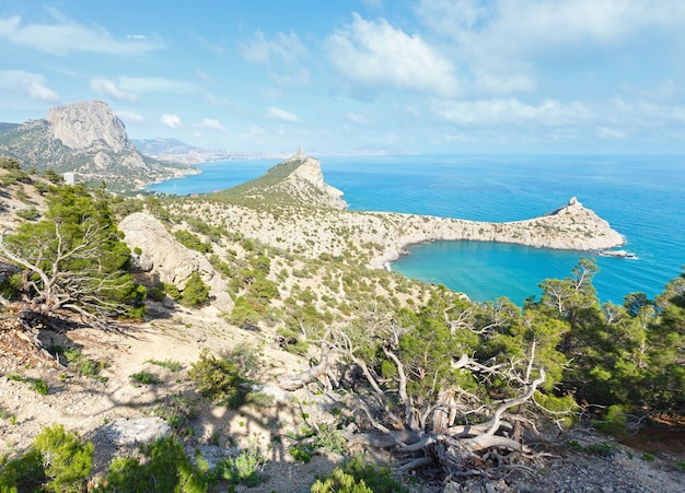 Costa della vista estiva della riserva di Novyj Svit