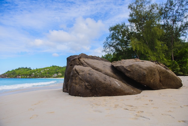 Costa delle Seychelles con roccia, nessuna gente.