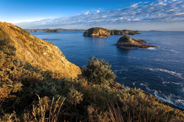 Costa di Coromandel