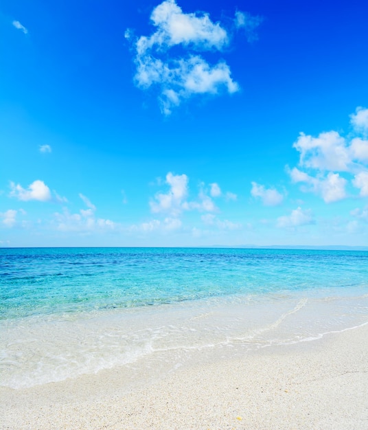 Costa di Stintino in una giornata limpida Girato in Sardegna Italia