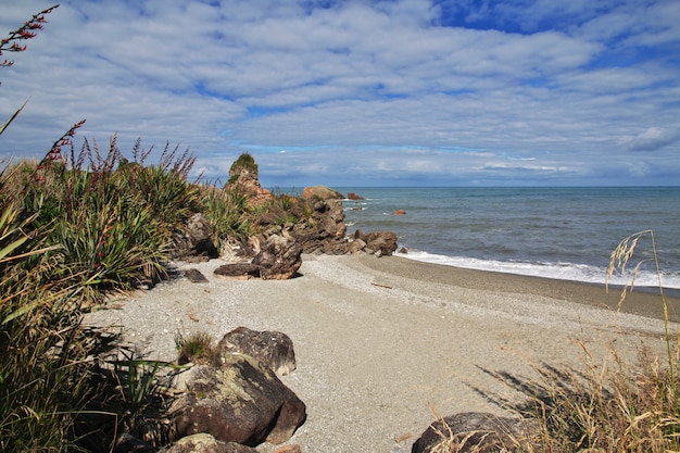 Costa ovest dell'isola del sud, Nuova Zelanda