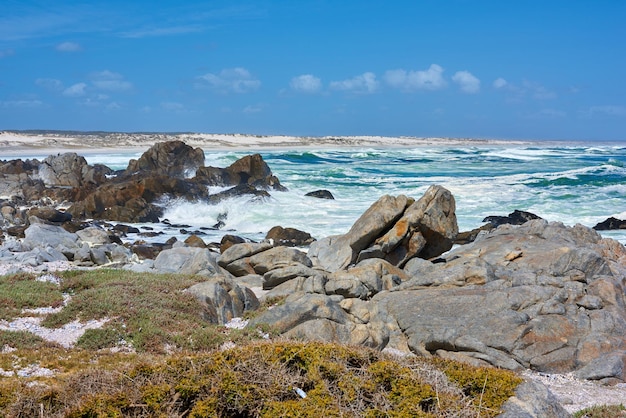 Costa rocciosa Costa rocciosa di Western Cape Sud Africa