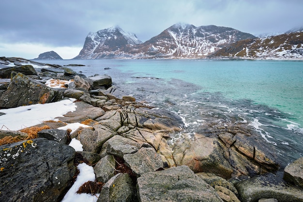 Costa rocciosa del fiordo in Norvegia