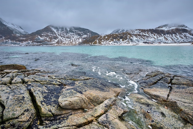 Costa rocciosa del fiordo in Norvegia