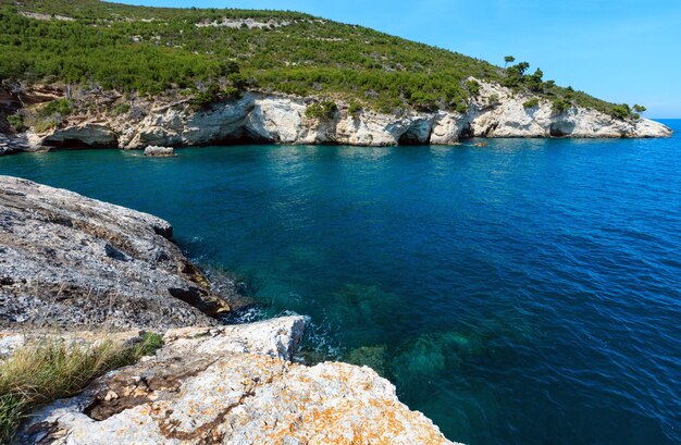 Costa rocciosa del mare di estate Gargano Puglia Italia