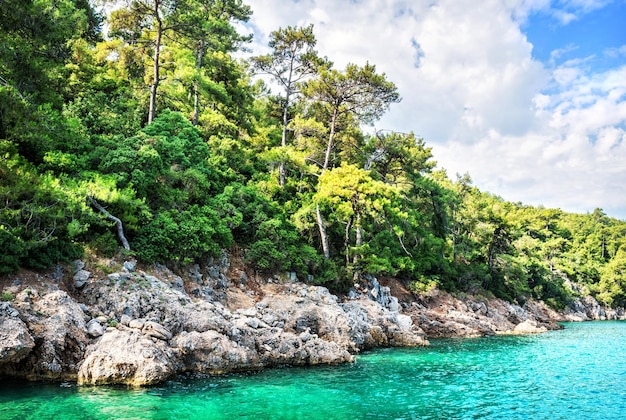 Costa rocciosa dell'isola sulla strada per l'isola di Cleopatra Mar Egeo Marmaris Turchia