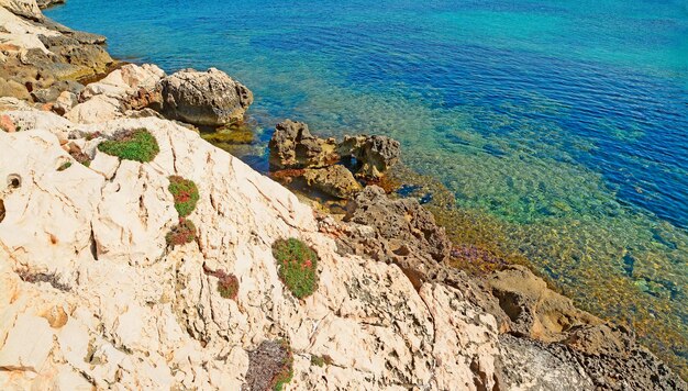 Costa rocciosa e acqua blu in Sardegna