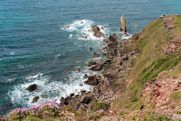 Costa rocciosa selvaggia vicino a Thurlestone nel Devon