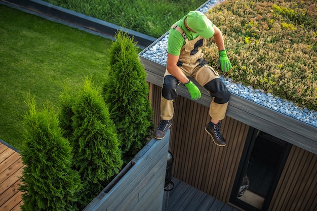Costruire il tetto vivente su una tettoia da giardino