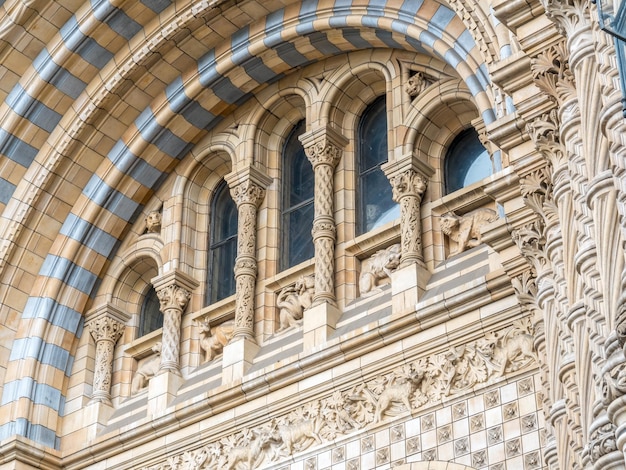 Costruzione del Museo di Storia Naturale a Londra Inghilterra