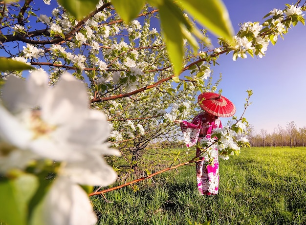 Costume da donna in Giappone al fiore di ciliegio