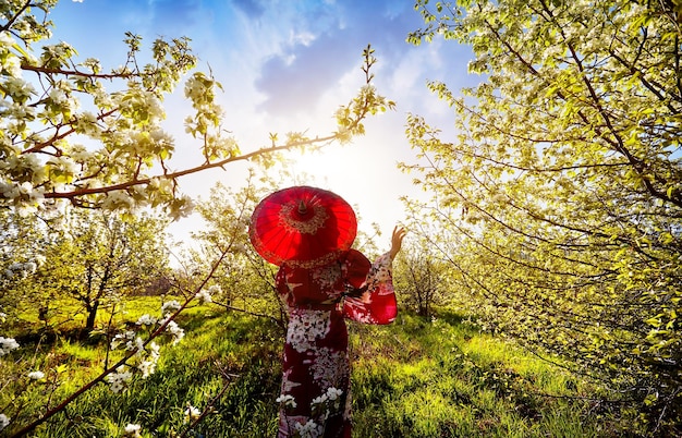 Costume da donna in Giappone al fiore di ciliegio