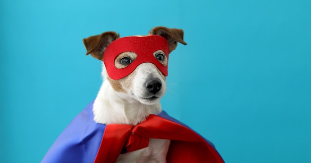 Costume da super eroe di Jack Russell