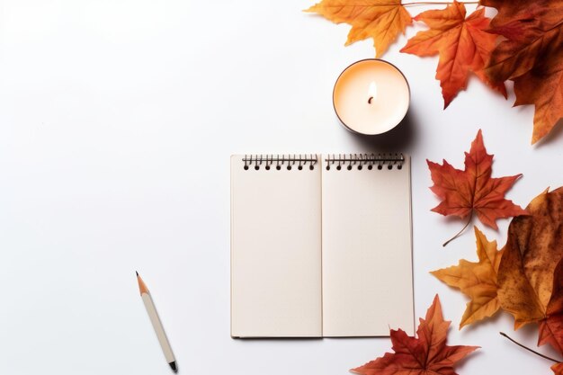 Cosy Homestead Vibes abbraccia il conforto dell'autunno con calendari candele a quadri e altro