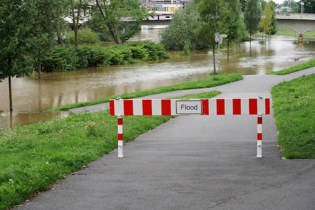 Cotta di salvataggio nel parco