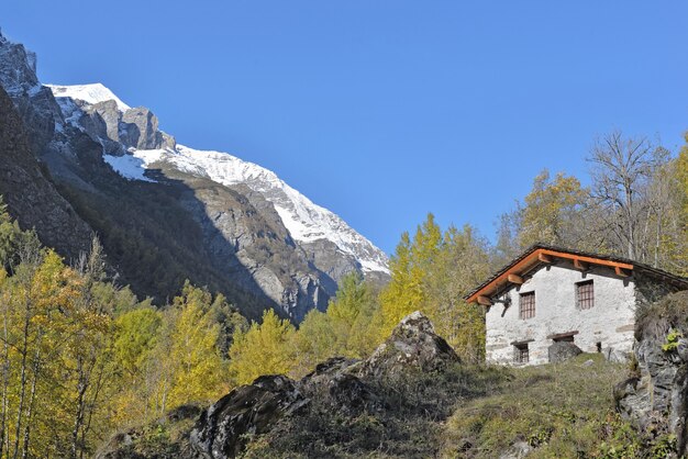 Cottage alpino tradizionale nel paesaggio di montagna sotto il cielo blu