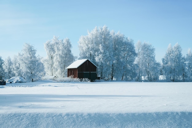 Cottage in inverno nevoso, Finlandia in Lapponia a Natale