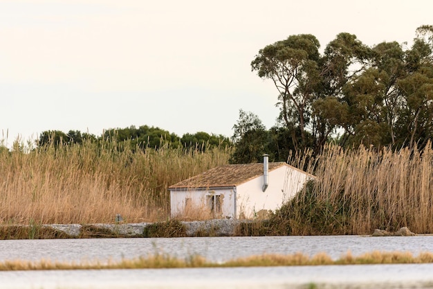 Cottage tradizionale con tetto di paglia ad Albufera Valencia